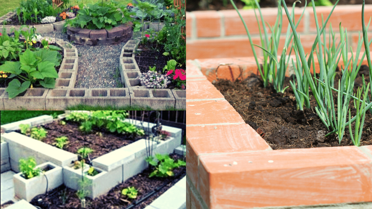 concrete block raised garden bed design inspirations that you can try
