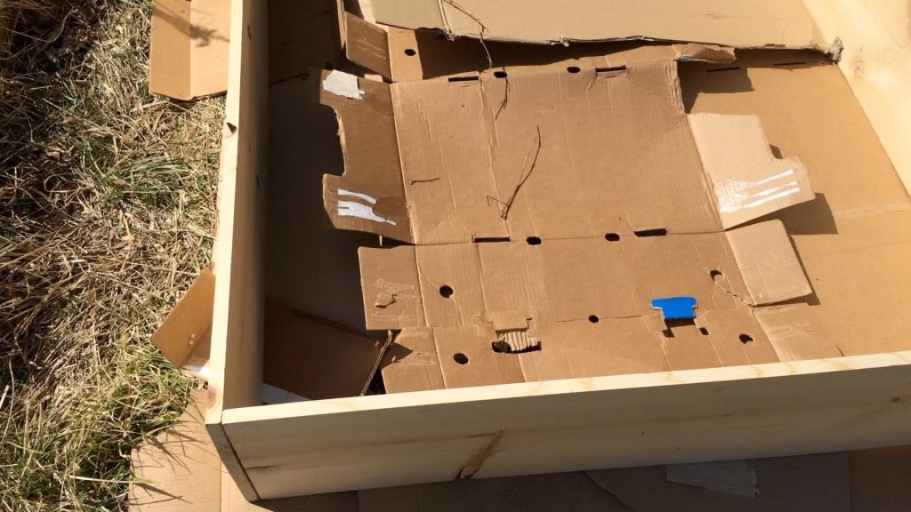ensure high quality soil and prevent weed seeds with cardboard