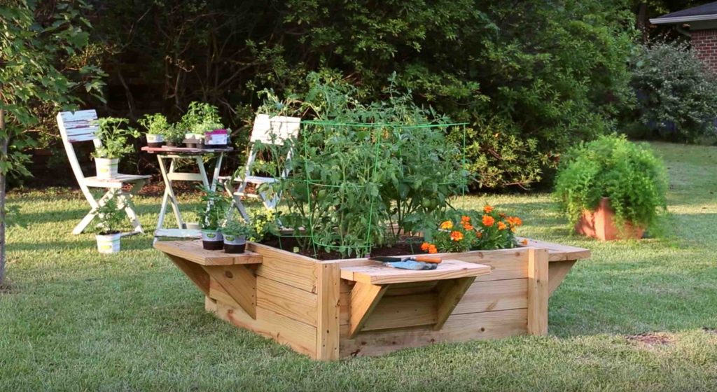 raised bed with benches