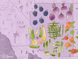 vegetables you can produce in Arizona