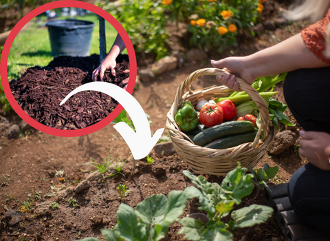 organic_mulch_benefits_soil_composition
